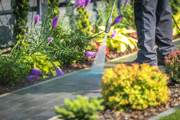 Best Sidewalk and Walkway Cleaning  in Glen Rock, NJ
