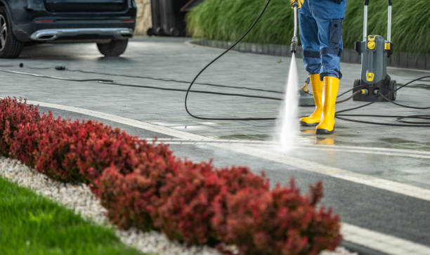 Best Solar Panel Cleaning  in Glen Rock, NJ